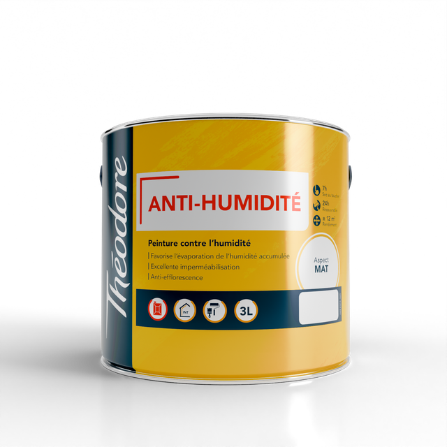 Peinture Anti humidité