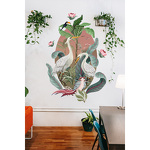 Sticker mural Oiseaux de la jungle Sticker mural Oiseaux de la jungle