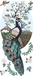 Sticker mural Paon majestueux Sticker mural Paon majestueux