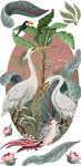 Sticker mural Oiseaux de la jungle Sticker mural Oiseaux de la jungle