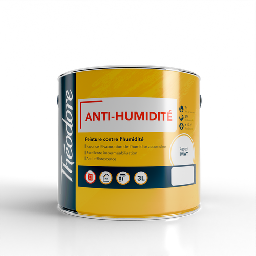 Peinture Anti humidité